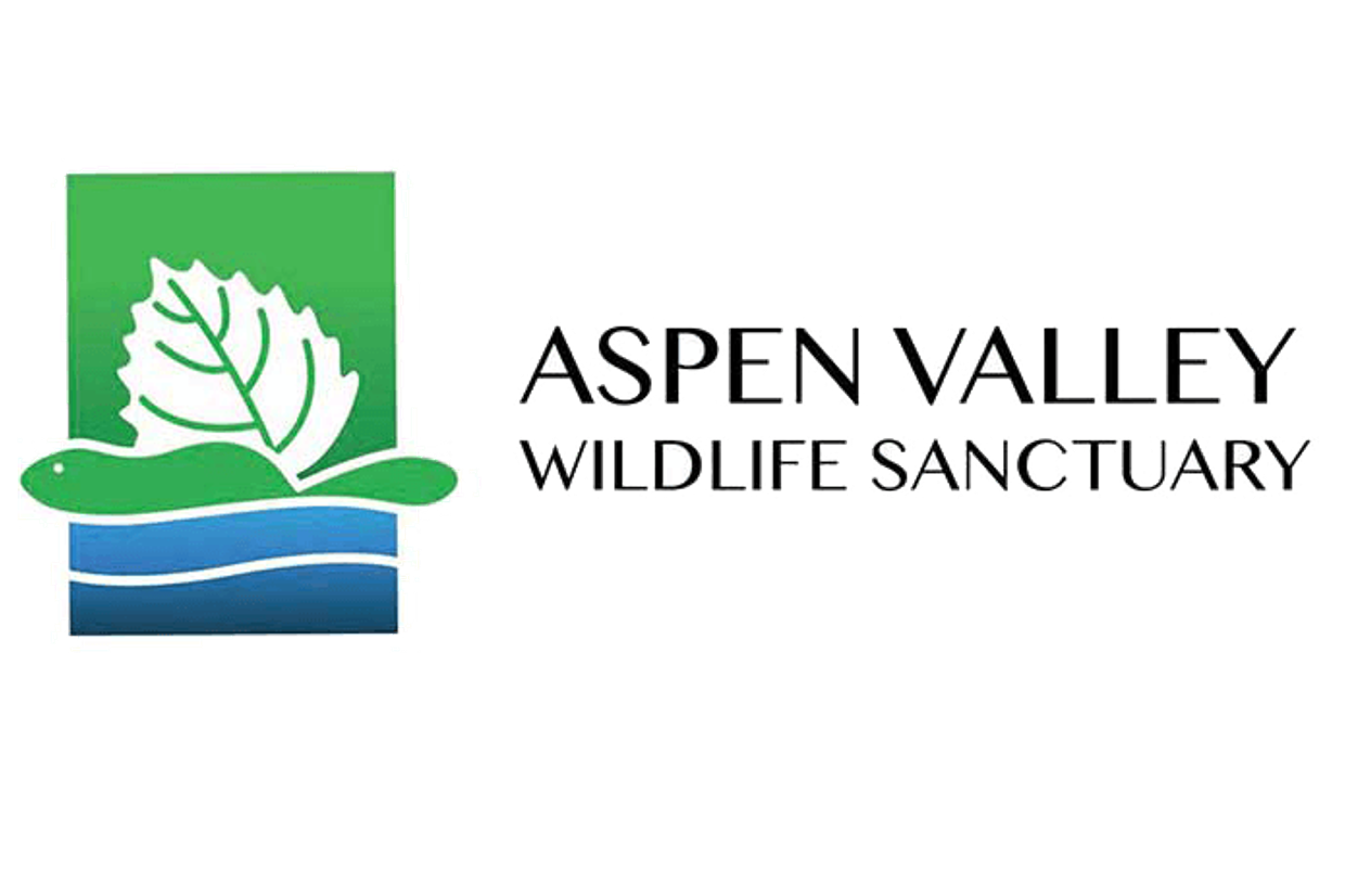 Aspen Valley Wildlife Sanctuary